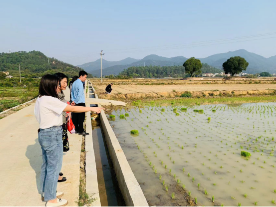 20250328170833953.png 20250328170833953.png