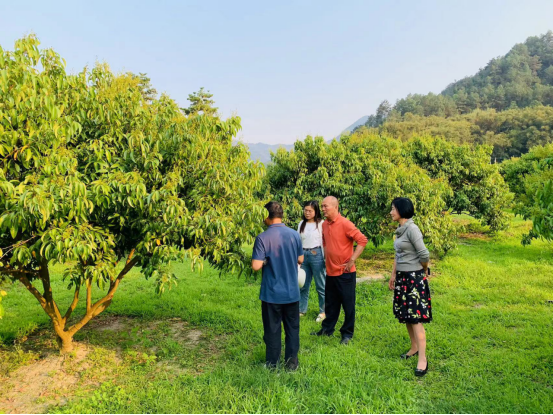 20250328170629747.png 20250328170629747.png